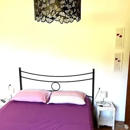 Il Vicolo Nel Appartement Rio Marina
