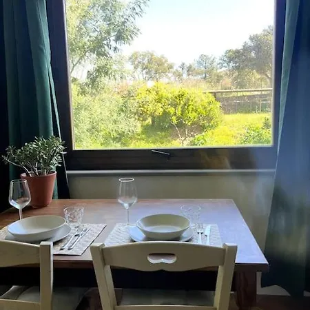 Il Vicolo Nel Apartment *