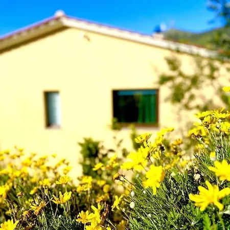 Apartment Il Vicolo Nel *
