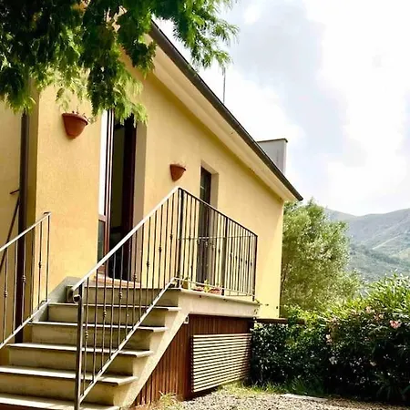 Il Vicolo Nel *