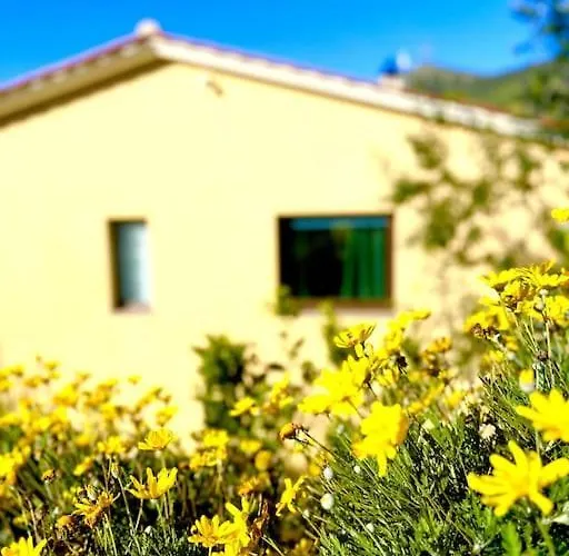 Appartement Il Vicolo Nel *